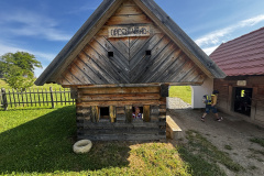 IMG_8351