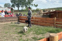 IMG_3140