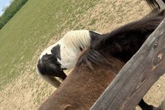 IMG_3174