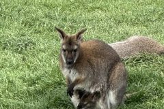 IMG_3225