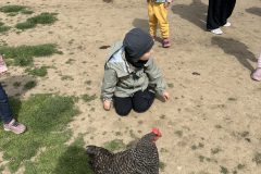 IMG_3234