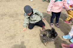 IMG_3252