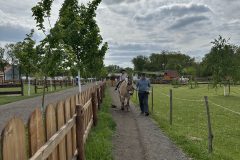 IMG_3336