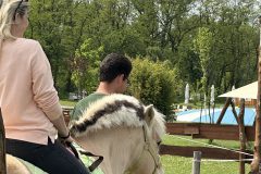 IMG_3390