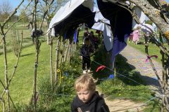 IMG_8576