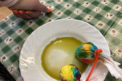 IMG_2603