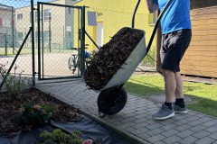 IMG_2956