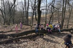 IMG_1944