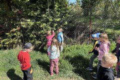 IMG_2867
