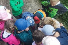 IMG_20240503_101428