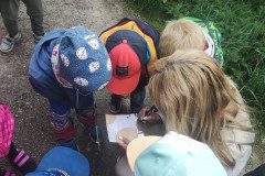 IMG_20240503_101526