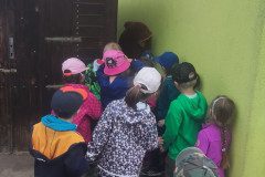 IMG_20240503_102638