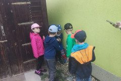 IMG_20240503_102713