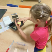 Včeličky - Pečení štrůdlu