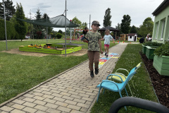 IMG_8651