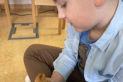 IMG_6650