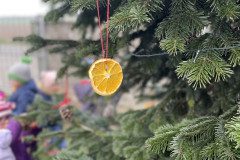 IMG-3297