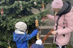 IMG-3299