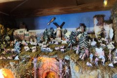 IMG_20231206_101146