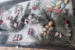IMG_20231206_101607