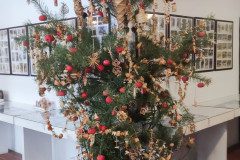 IMG_20231206_101701