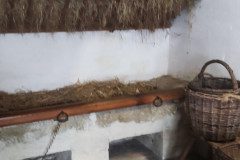 IMG_20231206_101806
