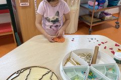 IMG_0251