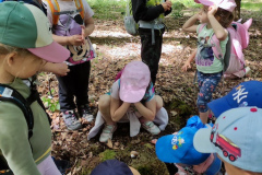 IMG_20260604_103604