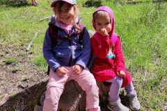 IMG_20260604_104301