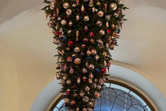 IMG-20251202-WA0012