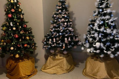 IMG-20251202-WA0013