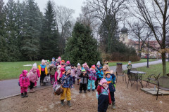 IMG_20251202_093638