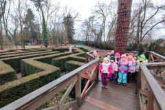IMG_20251202_103726