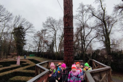 IMG_20251202_103730