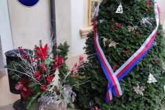 IMG_20251202_105950
