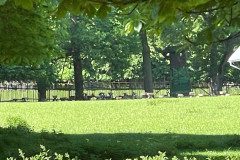 IMG-20240525-WA0039