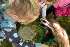 IMG-20240525-WA0045