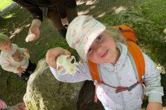IMG-20240525-WA0047