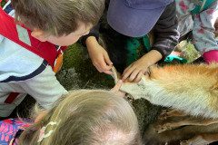 IMG-20240525-WA0049
