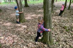 IMG-20240525-WA0071