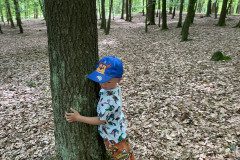 IMG-20240525-WA0072