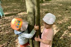 IMG-20240525-WA0078