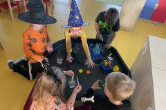 IMG_8146