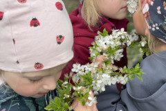 IMG_7858