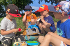 IMG-20250604-WA0033