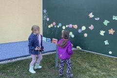 IMG_6702