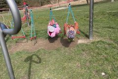 IMG_6796