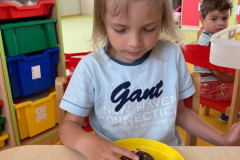 IMG-20260602-WA0010