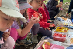 IMG-20260619-WA0036