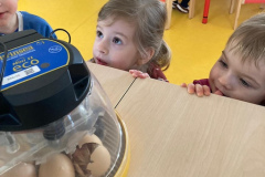 IMG-20260313-WA0047